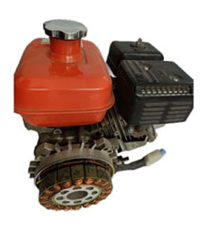SSNatu BLDC Motor Manufacturer in India