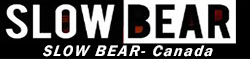 SSN BLDC
